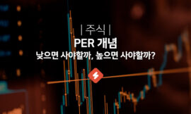 애플 PER 테슬라 PER | PER 개념